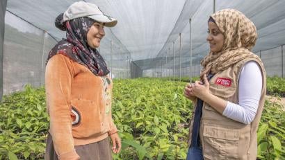 A syrian refugee talks with a prosper global field officer in a avocado farm greenhouse.