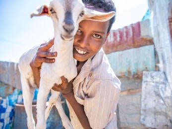 A boy embracing a goat